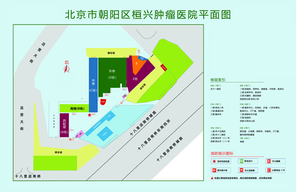 操干Ts小屄北京市朝阳区桓兴肿瘤医院平面图